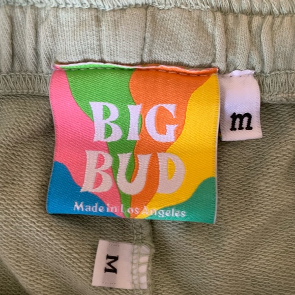 Big Bud Press LIGHTWEIGHT SWEAT SHORTS - SAGE GREEN - Picture 3 of 3